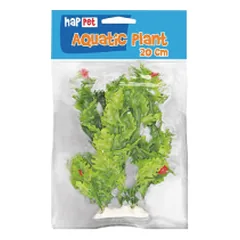 Happet akvariumo augalas raudonas / žalias — 2 nuotrauka