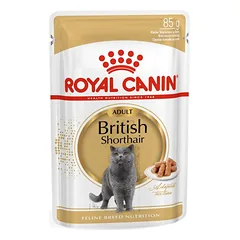 Royal Canin British Shorthair šlapias maistas katėms 12x85g