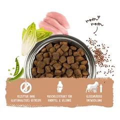 bosch Maxi Adult, sausas maistas šunims, > 10 kg — 2 nuotrauka