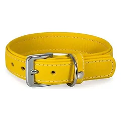Das Lederband Hundehalsband Barcelona Vibrant-Yellow