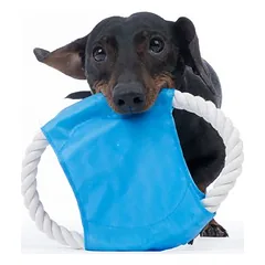 zooplus Basics Seil-Wurfscheibe, zooplus Basics Seil-Wurfscheibe ca. Ø 20 cm — 4 nuotrauka