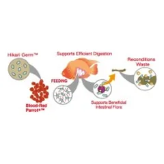 Hikari Blood Red Parrot Plus Mini visavertis pašaras žuvims 333 g — 3 nuotrauka