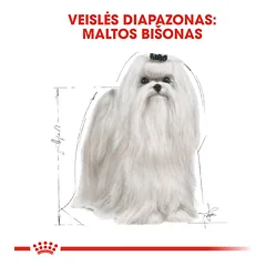 ROYAL CANIN BHN Maltese adult sausas maistas suaugusiems Maltos bišonų veislės šunims 1,5 kg — 2 nuotrauka