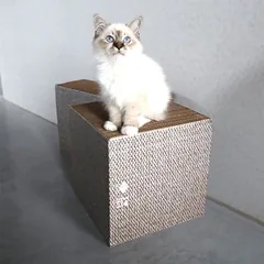 D&D Kratzwürfel I Love Happy Cats beige