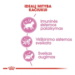 ROYAL CANIN FHN Kitten sausas maistas kačiukams 400 g — 3 nuotrauka