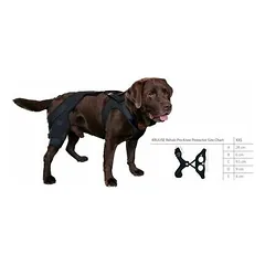 Kruuse Dog Rehab Pro kelio ortozė šunims, dešinė XXS