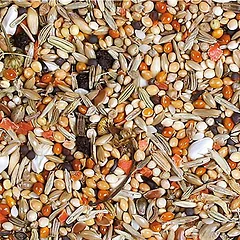 JR Farm Individual nimfinėms papūgėlėms, pašaras paukščiams, 1 kg — 3 nuotrauka