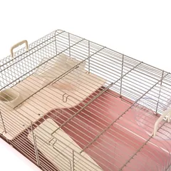 Interzoo narvas žiurkėnams Rex 1, pastelinis, L 58 x B 38 x H 28,5 cm — 4 nuotrauka