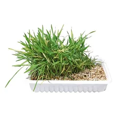 Trixie žolė katėms dubenėlyje 100 g
