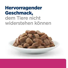 Hill's Prescription Diet Gastrointestinal Biome su vištiena, sausas maistas katėms — 2 nuotrauka