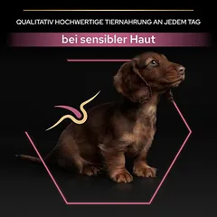 PURINA PRO PLAN Small & Mini Puppy Sensitive Skin sausas maistas šuniukams — 4 nuotrauka