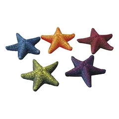 Aqua Della Aquarium Dekoration Starfish