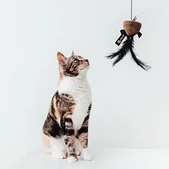 DISTRICT 70 lazdelė-žaislas katėms, 40cm — 4 nuotrauka