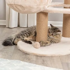 Trixie draskyklė katėms Boho Filippo, smėlio spalvos — 4 nuotrauka