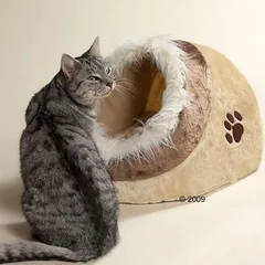 Trixie minkštas guolis-urvas katėms Minou, Mažiems 5–10 kg — 4 nuotrauka