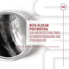 Royal Canin Puppy Immunity & Digestion Supplement kramtomi skanėstai šunims — 4 nuotrauka