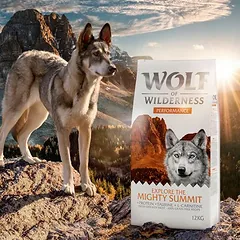 Wolf of Wilderness "Explore The Mighty Summit" Performance - getreidefrei