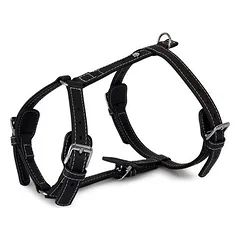 Das Lederband Geschirr Barcelona Black