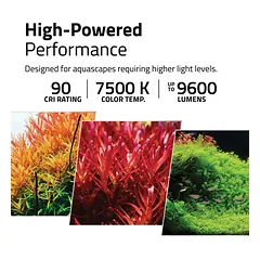 Fluval Plant Pro LED w/BT Mesh 120, 90W 88-124 cm — 5 nuotrauka