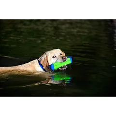 CHUCKIT Amphibious Bumper žaislas mėtymui, S, žalias — 2 nuotrauka