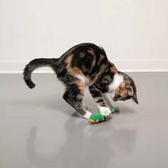 TIAKI eglutė su katžole, 1 vnt. — 4 nuotrauka