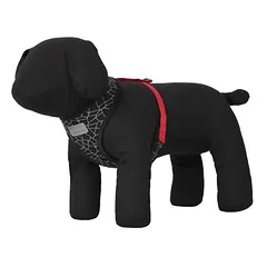 Rukka® Cube Mini petnešos, raudonos, Dydis L: 48 - 72 cm Krūtinės apimtis — 2 nuotrauka