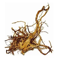 Japoniška šaka M (20 – 35 cm)