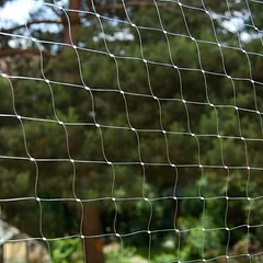 Katzennetz transparent