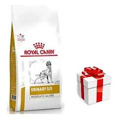 ROYAL CANIN Urinary S/O Moderate Calorie UMC 20 12kg + STAIGMENA ŠUNIUI