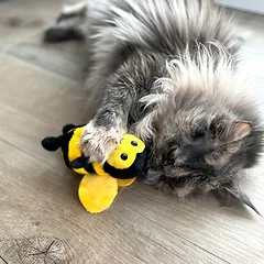 Aumüller žaislas katėms Kamanė Maggie su kačiažole, 1 vnt. — 5 nuotrauka