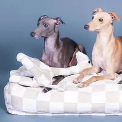 PAIKKA Hundespielzeug Giraffe