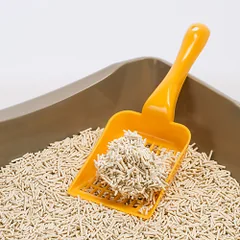 Expertus Tofu kraikas katėms, bekvapis, 6 l — 5 nuotrauka