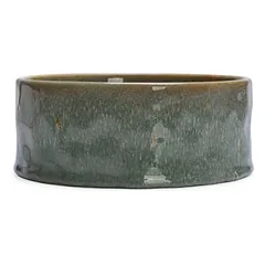 Designed by Lotte keraminis dubenėlis šunims, žalias, 2 x 800 ml, Ø 16 x H 6 cm — 4 nuotrauka
