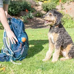 Chuckit! sulankstomas mini kamuoliukų metiklis Fetch & Fold, žaislas šunims, Labai mažiems < 4 kg — 4 nuotrauka