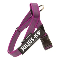 Julius - K9 IDC Color & Gray diržinis pakinktis rožinis - šuns pakinktis, fuksijos spalvos - Mini - Mini