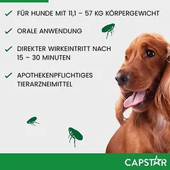 CAPSTAR 57 mg dideliems šunims — 4 nuotrauka