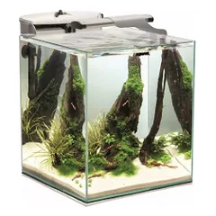 Aquael Fish&Shrimp Set Duo Day&Night 35, baltas