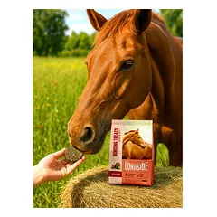 Longside Bonding skanėstai arkliams, sodo obuolys 500 g — 3 nuotrauka