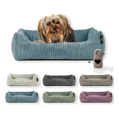 Rohrschneider Hundetreppe mit 2 Stufen