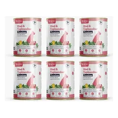 felmo Premium drėgnas maistas su jautiena šunims (6 x 400 g)