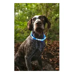 Flamingo VISIO LIGHT LED COLLAR BLUE 70CM — 4 nuotrauka