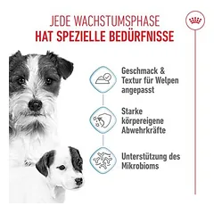 Royal Canin Starter Mother & Babydog Ultra Soft Mousse drėgnas maistas šunims — 3 nuotrauka