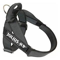 Julius - K9 Color & Grey - petnešos, šuns petnešos