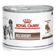 Royal Canin VD Dog Recovery konservai šunims ir katėms