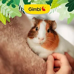 Gimbi Nager-Malt Paste — 2 nuotrauka