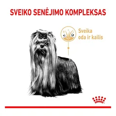 Royal Canin Yorkshire Terrier 8+ sausas pašaras šunims, BHN 1.5kg — 3 nuotrauka
