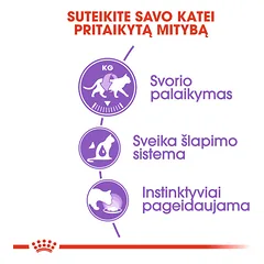 ROYAL CANIN FHN Sterilised in jelly konservai drebučiuose sterilizuotoms katėms 12x85 g — 2 nuotrauka