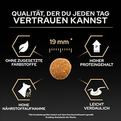 PURINA PRO PLAN Large Athletic Adult Sensitive Skin su lašiša, sausas maistas šunims — 4 nuotrauka