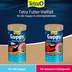 Tetra Guppy Mini Flakes lesalas žuvims, Ekonominė pakuotė: 2 x 250 ml — 5 nuotrauka