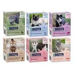 BOZITA Cat šešių skonių pakuotė su padažu 6 x 370g